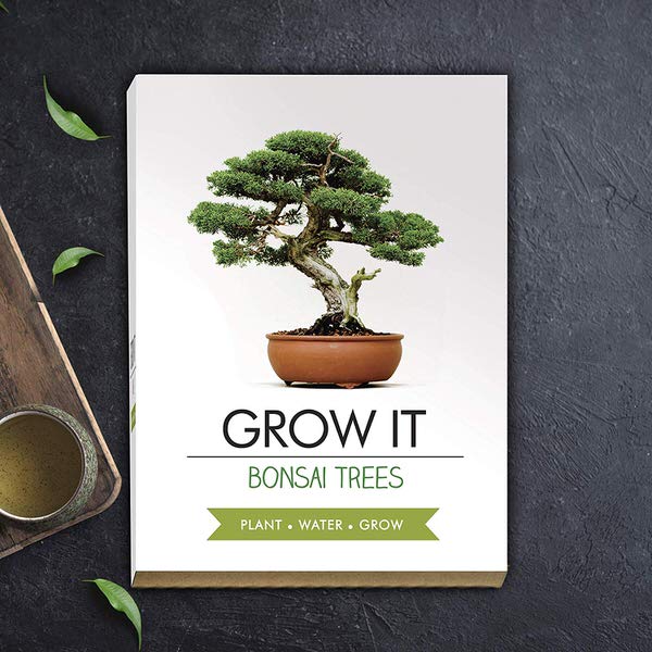 E-shop Grow it - Bonsai