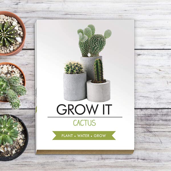 E-shop Grow it - kaktus