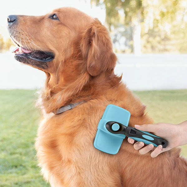 E-shop Kefa s vysuvnými štetinami pre psov Groombot