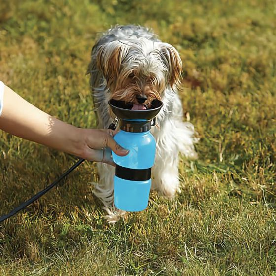 Cestovná fľaša na vodu pre psov